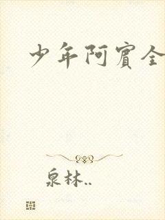 少年阿宾全文封面