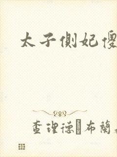 太子侧妃傻乎乎封面