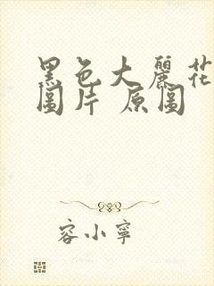 黑色大丽花真实图片 原图