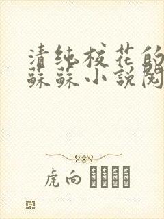 清纯校花的日常苏苏小说阅读全文封面