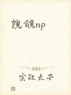 觊觎np