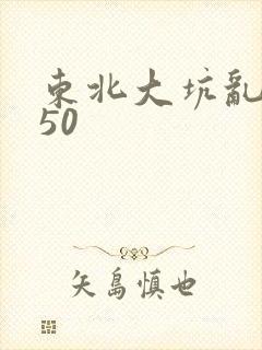 东北大坑乱1—50封面