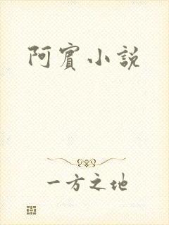 阿宾小说