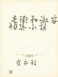 老卫和淑容1-40集小说
