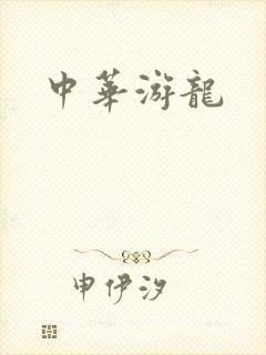 中华游龙封面