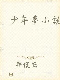 少年梦小说