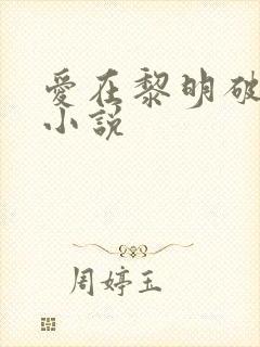爱在黎明破晓前小说