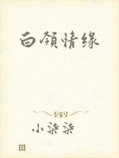 白领情缘封面