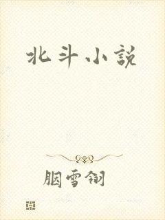 北斗小说