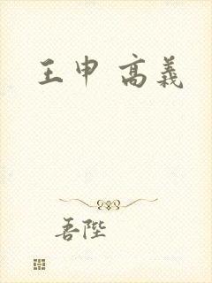 王申 高义