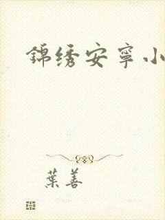 锦绣安宁小说