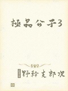 极品公子3