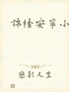 锦绣安宁小说