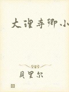 大理寺卿小说