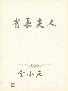 省长夫人