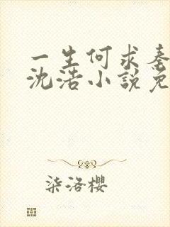一生何求秦菲雪沈浩小说免费阅读全文