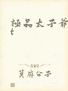 极品太子爷txt封面