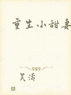 重生小甜妻封面