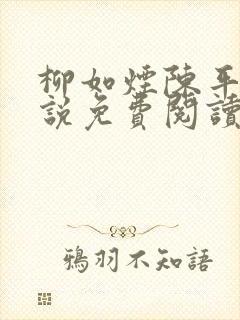 柳如烟陈平安小说免费阅读全文封面