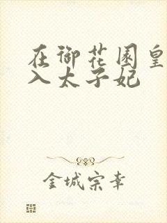 在御花园皇上进入太子妃封面