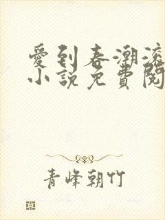 爱到春潮滚滚来小说免费阅读