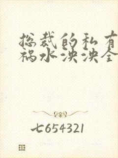 总裁的私有宝贝祸水泱泱全文阅读