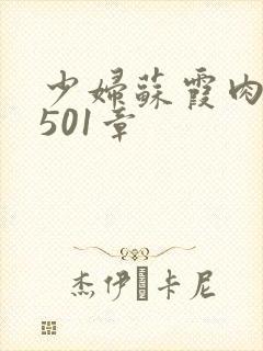 少妇苏霞肉欲第501章