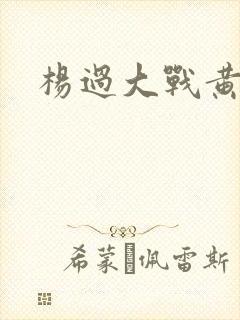 杨过大战黄蓉