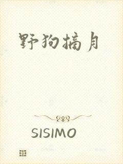野狗摘月封面