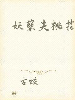 妖孽夫桃花妻封面