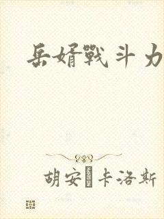 岳婿战斗力