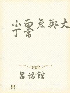 小白兔与大灰狼丁当封面