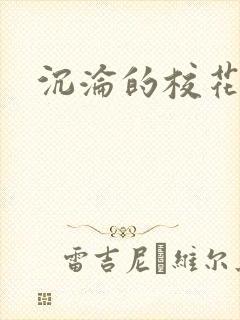 沉沦的校花