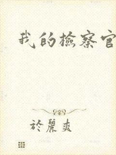 我的检察官先生