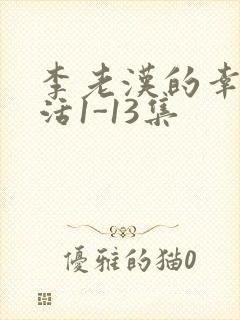 李老汉的幸福生活1-13集