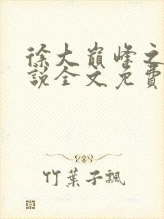 徐大巅峰之路小说全文免费阅读