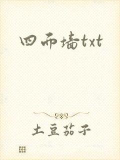 四面墙txt