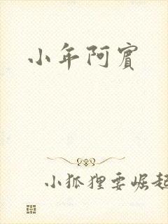 小年阿宾