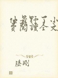 他最野了小说免费阅读全文