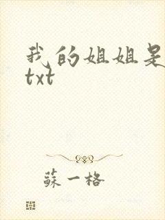 我的姐姐是美女txt