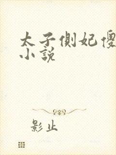 太子侧妃傻乎乎小说