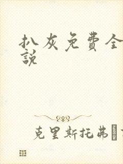 扒灰免费全本小说封面