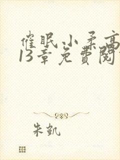 催眠小柔高达第13章免费阅读封面