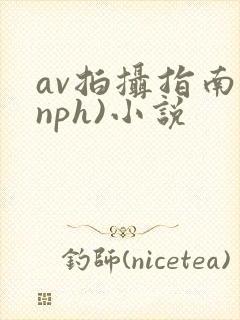 av拍摄指南(nph)小说
