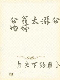 公翁太涨公欲息肉婷封面