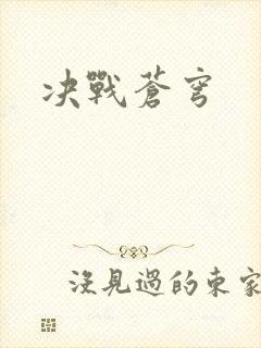 决战苍穹