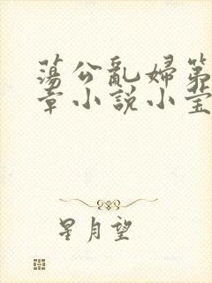 荡公乱妇第51章小说小莹封面