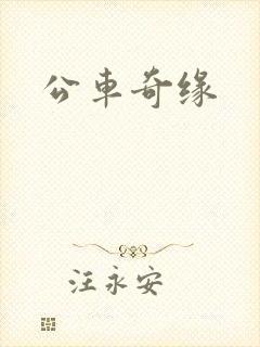 公车奇缘