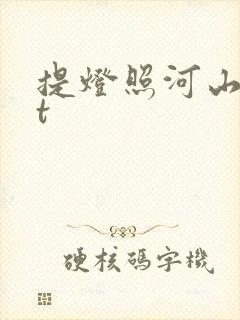 提灯照河山txt封面