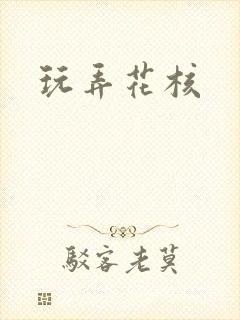 玩弄花核封面